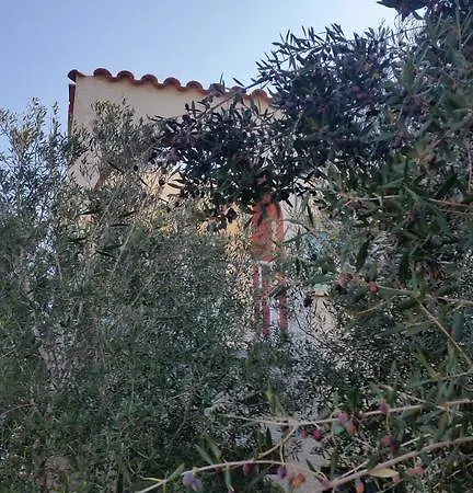Apartment Nissi Dreams Ayia Napa